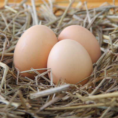 Huevos frescos en bares y restaurantes! Descubre los cambios en la  regulación alimentaria 