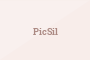 PicSil