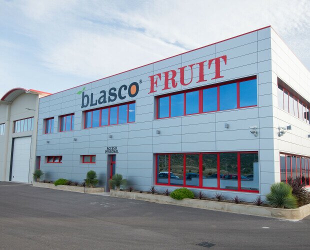 Blasco fruit. Más de 7mil mts para brindar la mejor calidad de kaki y AOVE