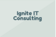  Ignite IT Consulting