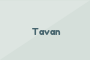 Tavan