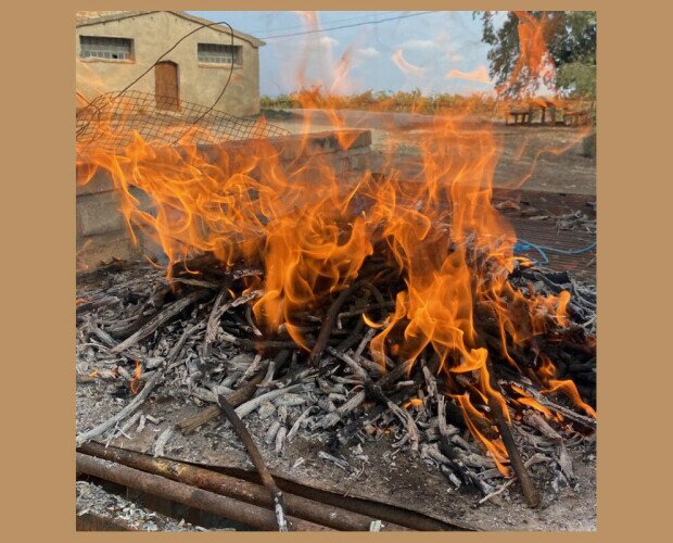 Sarmiento troceado. El sarmiento troceado es un producto muy versátil como combustible