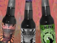 Cerveza Artesanal. Sabores creativos