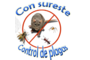 Consultoría del Sureste