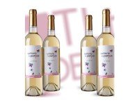 Vino Blanco. Afrutado y de acidez equilibrada