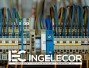 Ingelecor