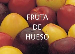 Frutas de hueso. Manzanas, Peras, Albaricoques y mucho más