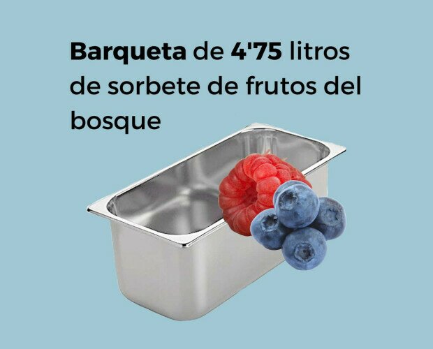 Sorbete de frutas del bosque. Sorbete de frutas del bosque artesanal de 4,75 l apto para vegano