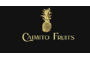 Caimito Fruits Europe