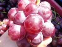 Uvas. La mejor calidad y sabor