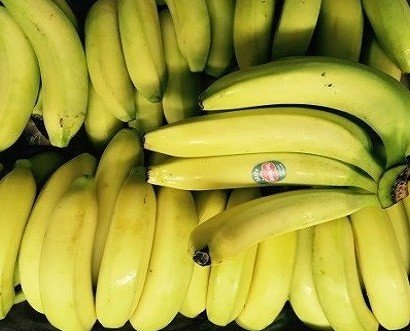 Bananas. Excelente calidad