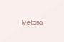 Metasa