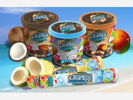 Helado. Nuestra gama de productos