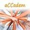 aCCadem Group