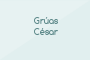 Grúas César