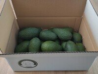 Aguacates. Caja Aguacate Hass 4 kg (piezas entre 150gr y 300gr)