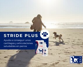 Stride Plus Perros. Suplemento natural para cartílagos y articulaciones de perros.