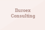 Iluroex Consulting