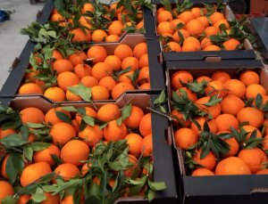 NARANJA EN VALENCIA