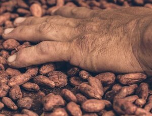 5% de descuento en Cacao en Grano