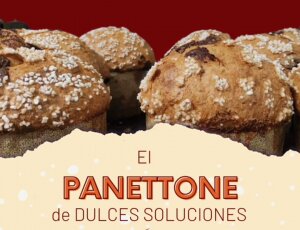 PANETTONE DULCES SOLUCIONES