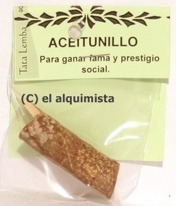 PALO ACEITUNILLO 