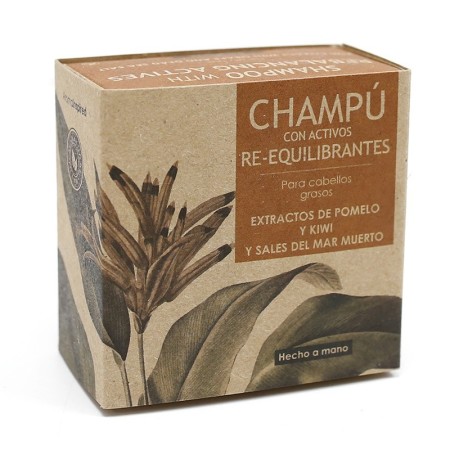 3 Champú sólido cabello graso - con activos REEQUILIBRANTES