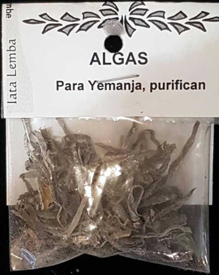 HIERBA ALGAS