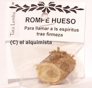 PALO ROMPE HUESO 