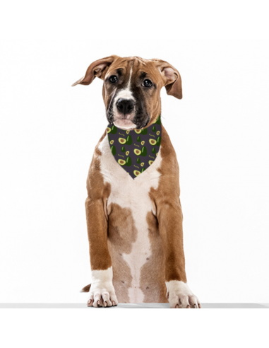 Bandana para perro  Estampado Aguacates