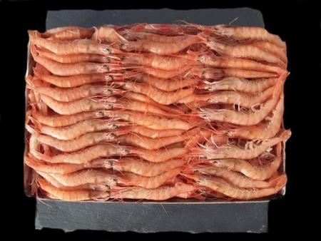 Gamba Arrocera  Nº 4 Caja 3 Kg