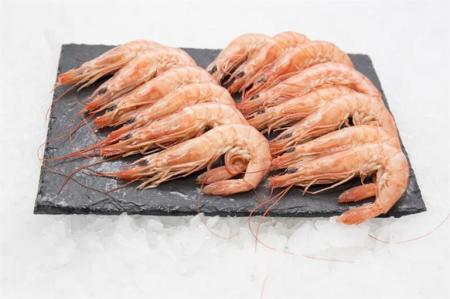 Gamba Cristal 1X2 Kgs