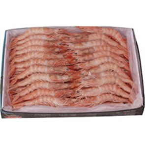 Gamba Plancha Turca Nº1 60/80 Confremar