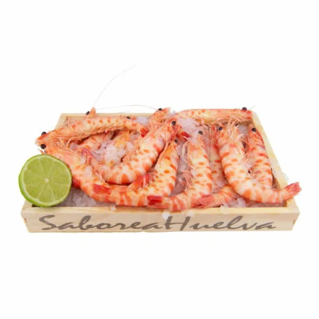 Langostino Tigre de Sanlúcar