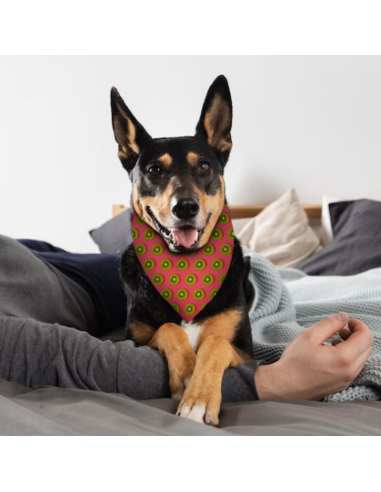 Bandana para perros Estampado de Kiwis