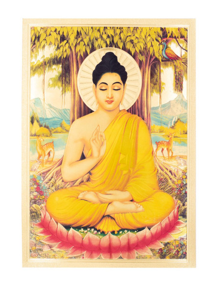 Lamina Budha - TLD0102