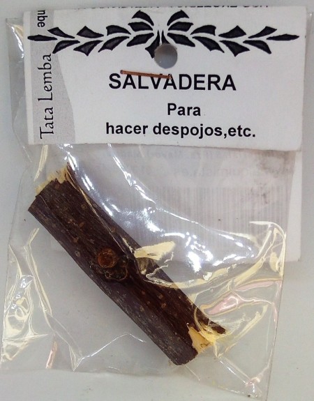 PALO SALVADERA 