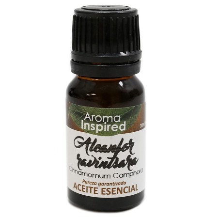 Aceite esencial 10 ml - alcanfor