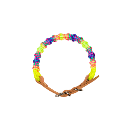 Collar Rainbow