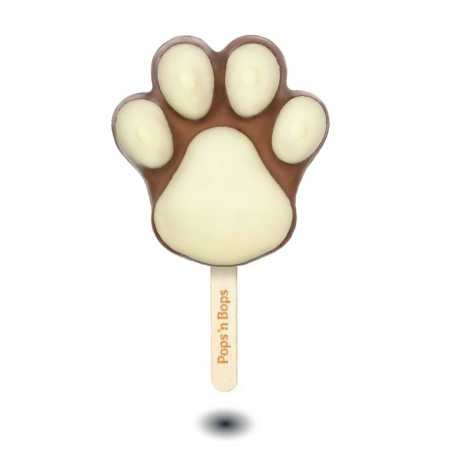 POP PAW ROCHER