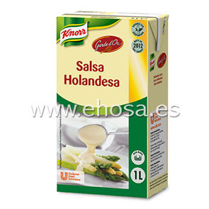 Salsa Liquida Brik Holandesa Knorr