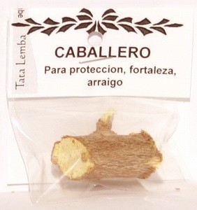 PALO ESPUELA DE CABALLERO 