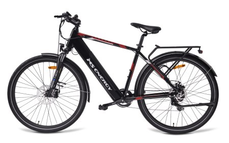 MS ENERGY eBike t10