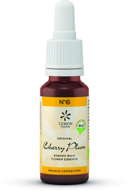 Nº 6 Cherry Plum – Cerasifera