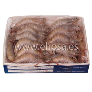 Langostino Crudo 20/25 Vanamei