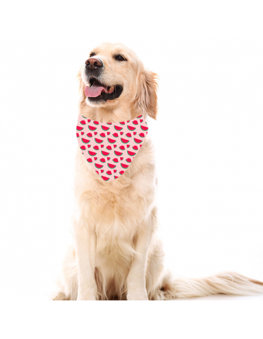 Bandana para perro Estampado Sandías