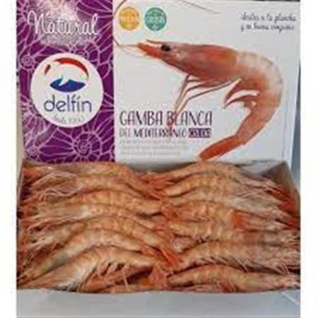 Gamba Tunez Bordo 70/80 Delfin