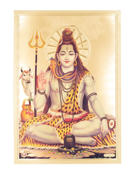 Lamina Shiva - TLD0104