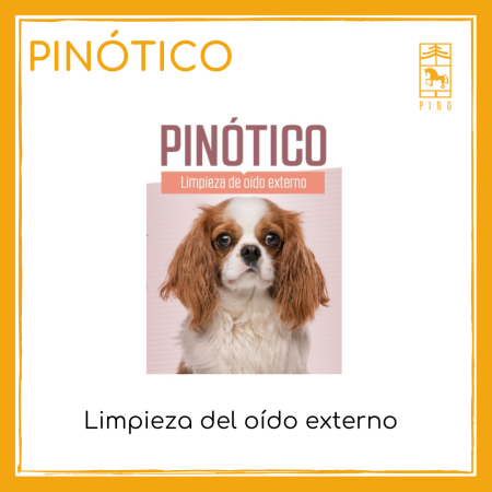 Pinótico canis