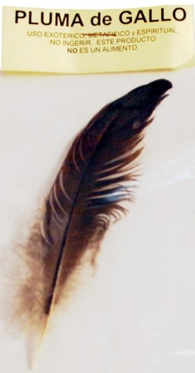 PLUMA DE GALLO (Grande)